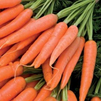 carrots
