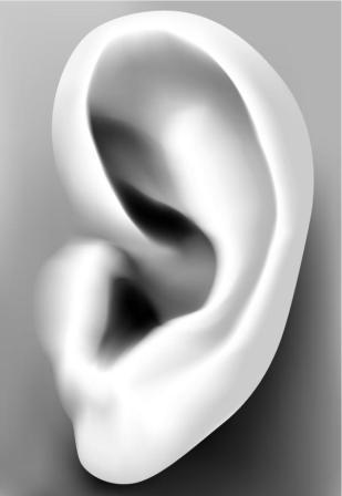 ears