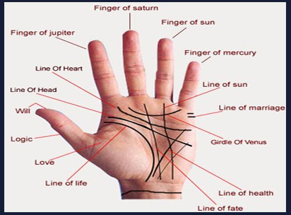 palmistry