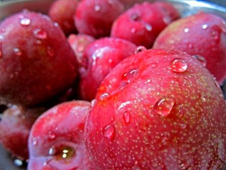 plum
