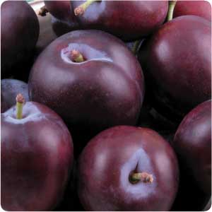 plums