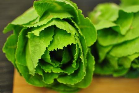 romaine-lettuce