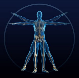 the-human-body