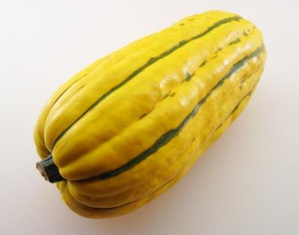 delicata squash