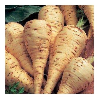 parsnips
