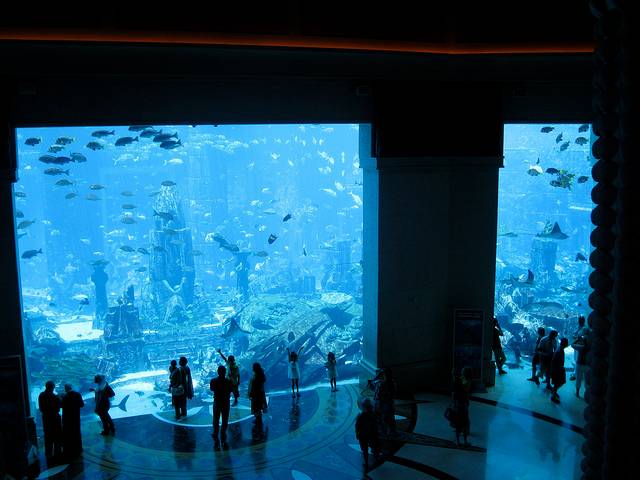 Atlantis Aquarium, Dubai