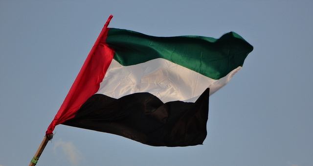 UAE Flag